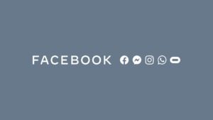 logo gray lg jpg