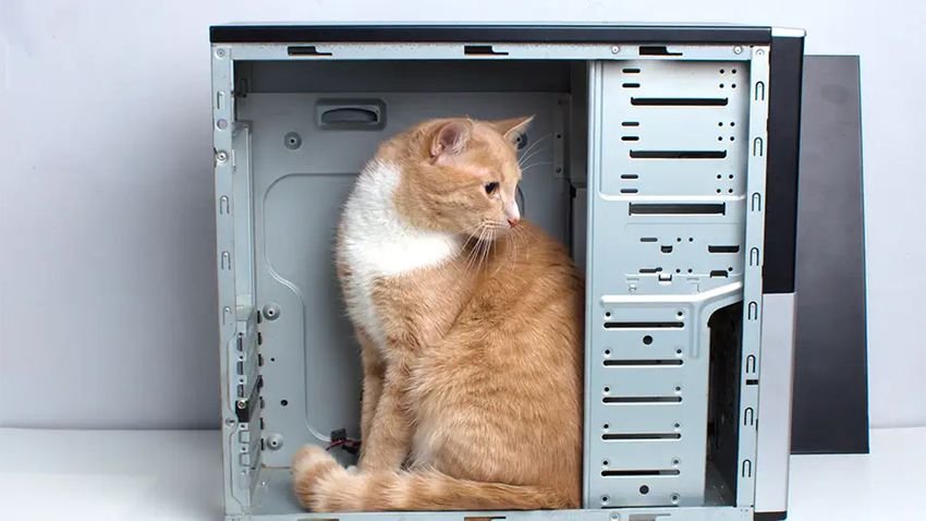 used computer case with cat sitting in it