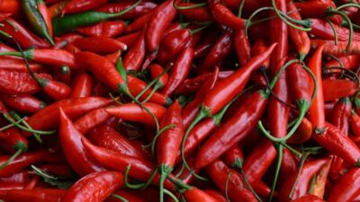 red pepper