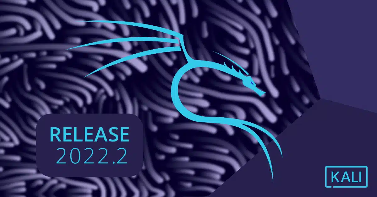 banner 20241 release