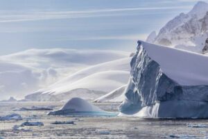 antarctic