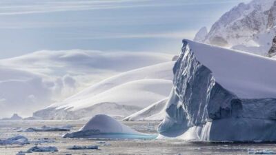antarctic