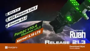 manjaro 213