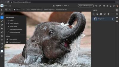photoshop on the web edititing