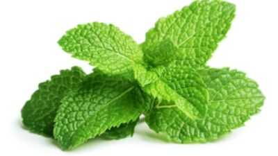 mint