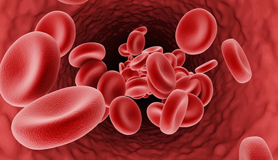 beta thalassemia