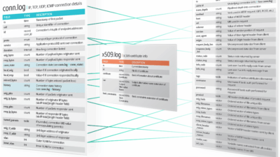 zeek data