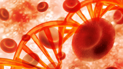 blood cell