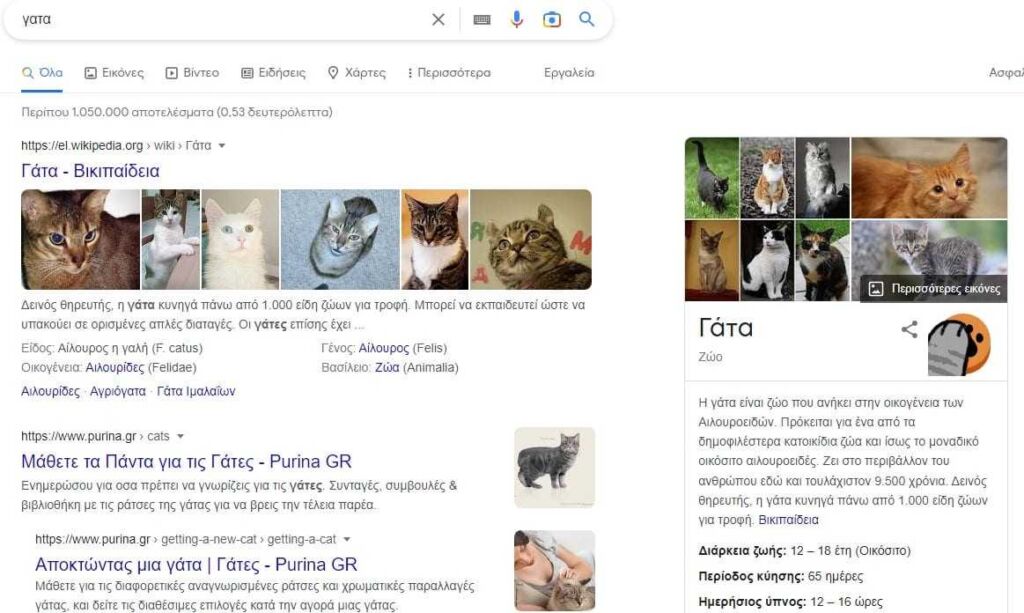 Easter Egg in Google search with cats and dogs - iGuRu.gr