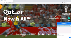 fake copy of the official website
