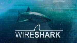 shark