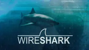 shark