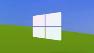 windows 10 2c