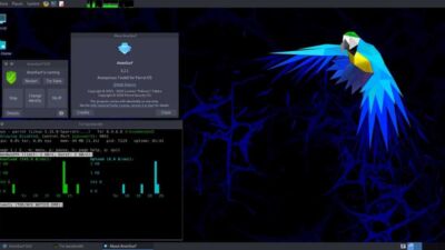 anonsurf parrot