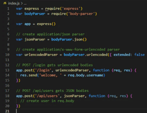 body parser expressjs
