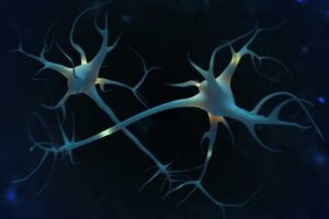brain digital