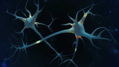 brain digital