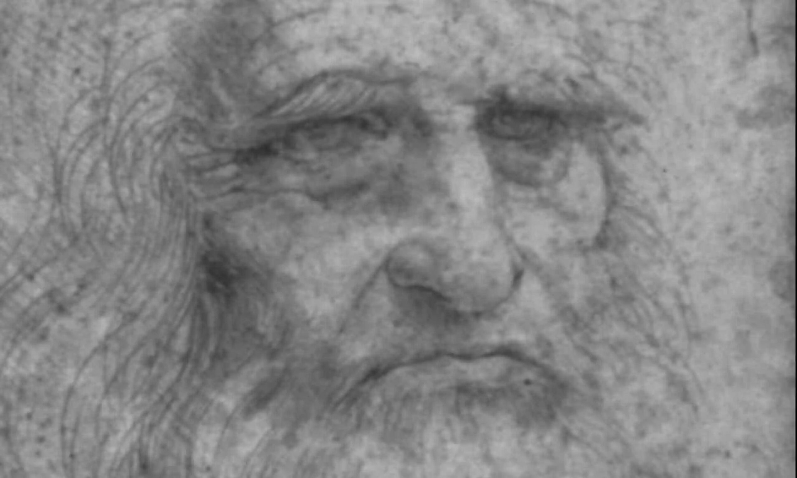 leonardo da vinci