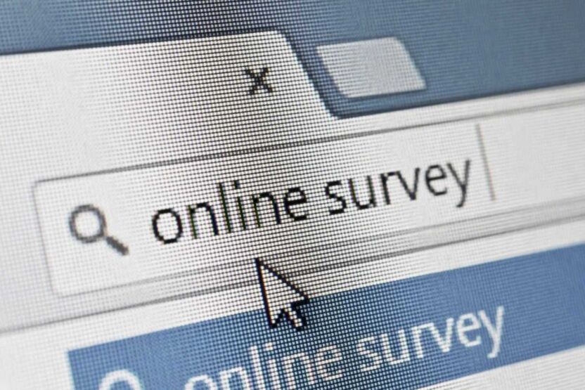 online survey