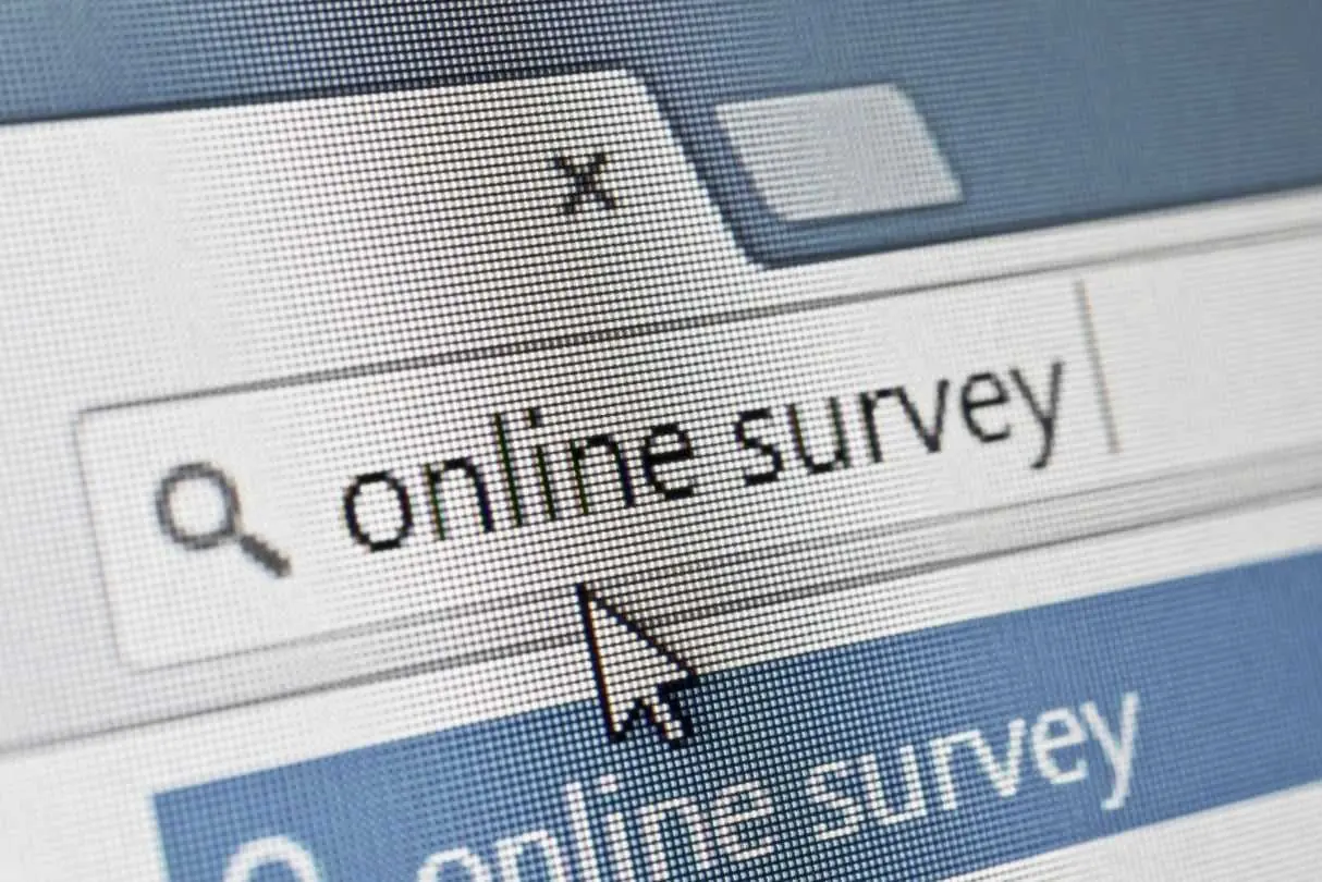 online survey