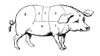 pig bu