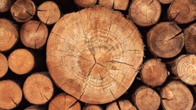 wood