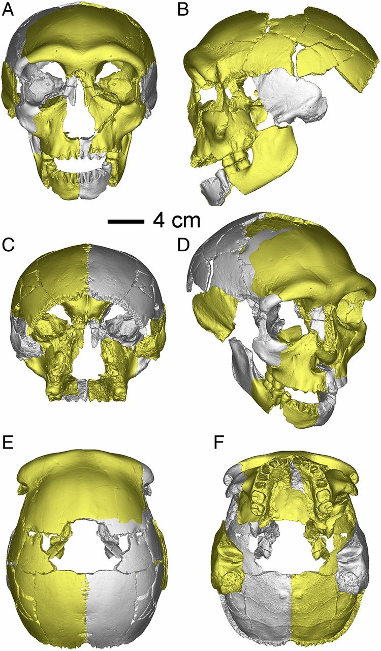 pnas sc