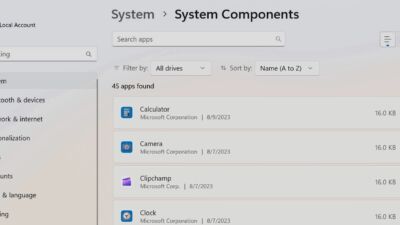 system 11c