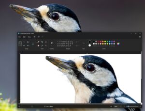 paint background removal tool