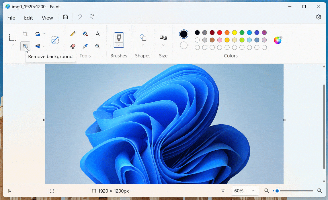 paint background removal