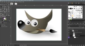 gimp