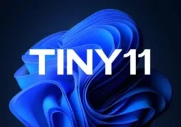 tiny11