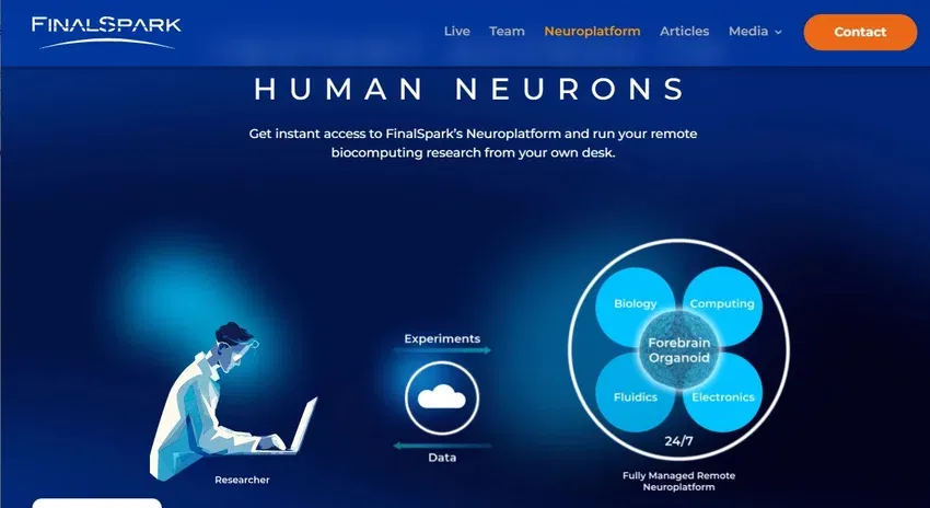 finalspark neuroplatform