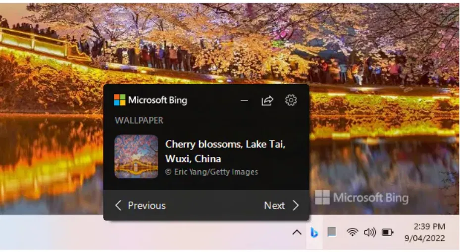 bing wlp