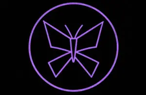 dedsec