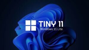 tiny11