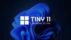 tiny11