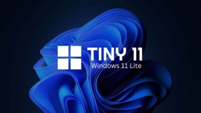 tiny11