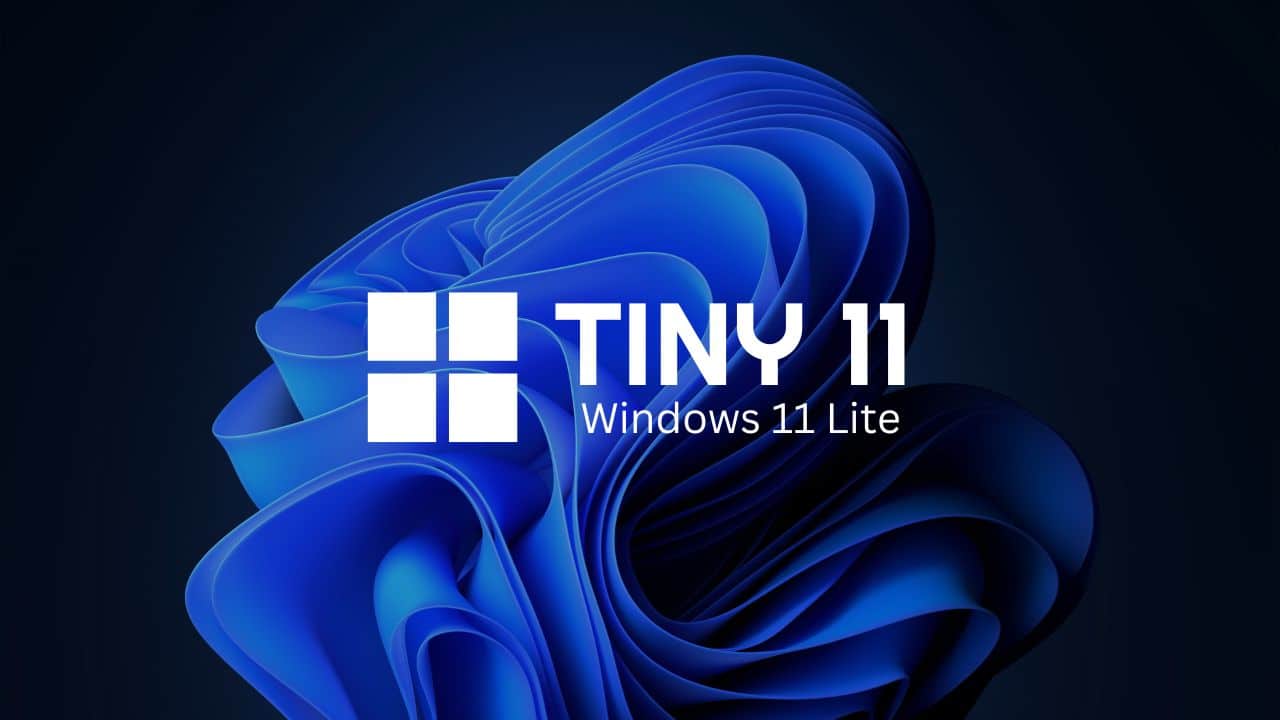tiny11