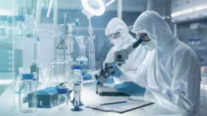 lab