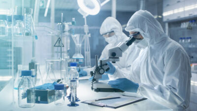 lab