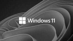 microsoft windows 11 bw