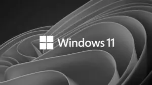 microsoft windows 11 bw