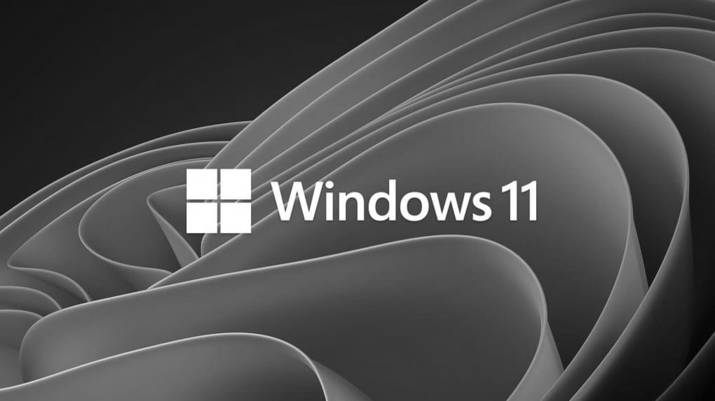 microsoft windows 11 bw