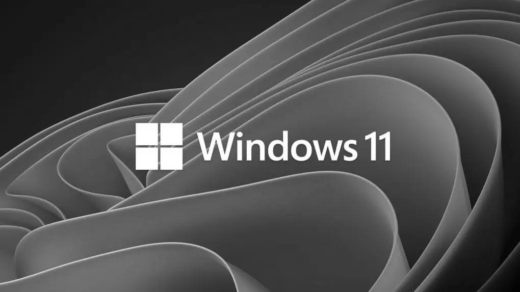microsoft windows 11 bw