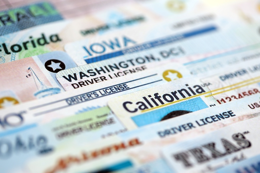 driver's license