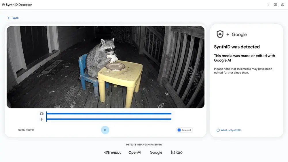 raccoon video synthiddetector